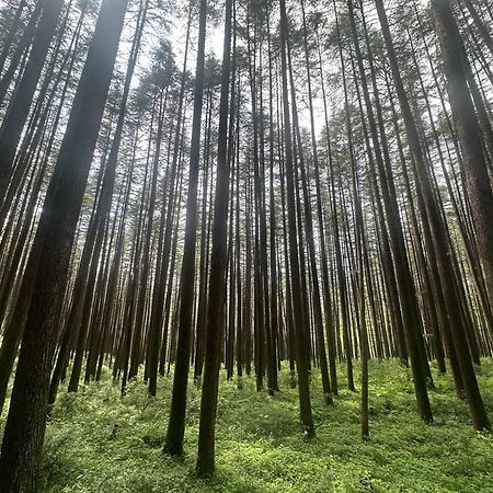 Deodar Village Homestay Devalsari Mussoorie Exteriör bild