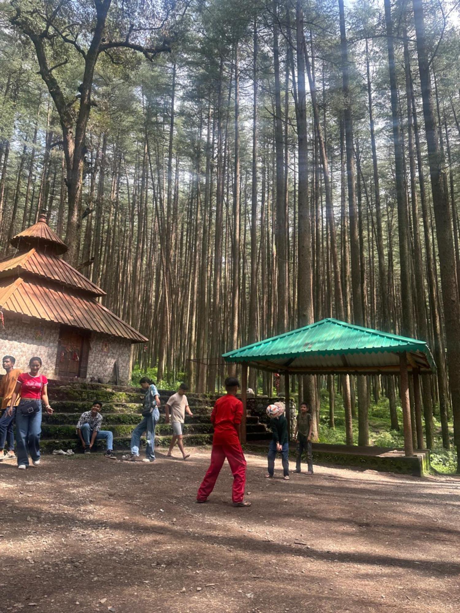 Deodar Village Homestay Devalsari Mussoorie Exteriör bild