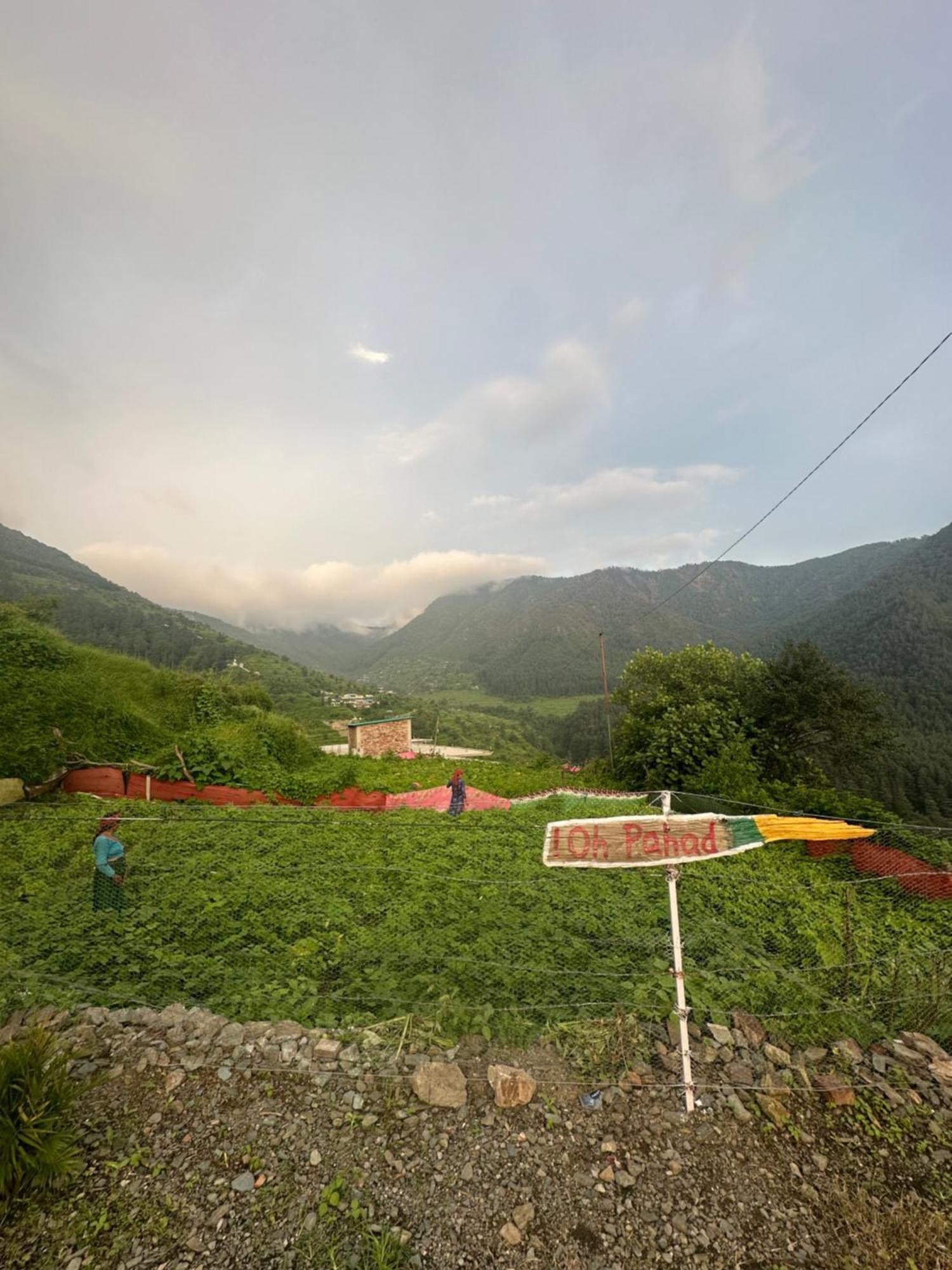 Deodar Village Homestay Devalsari Mussoorie Exteriör bild