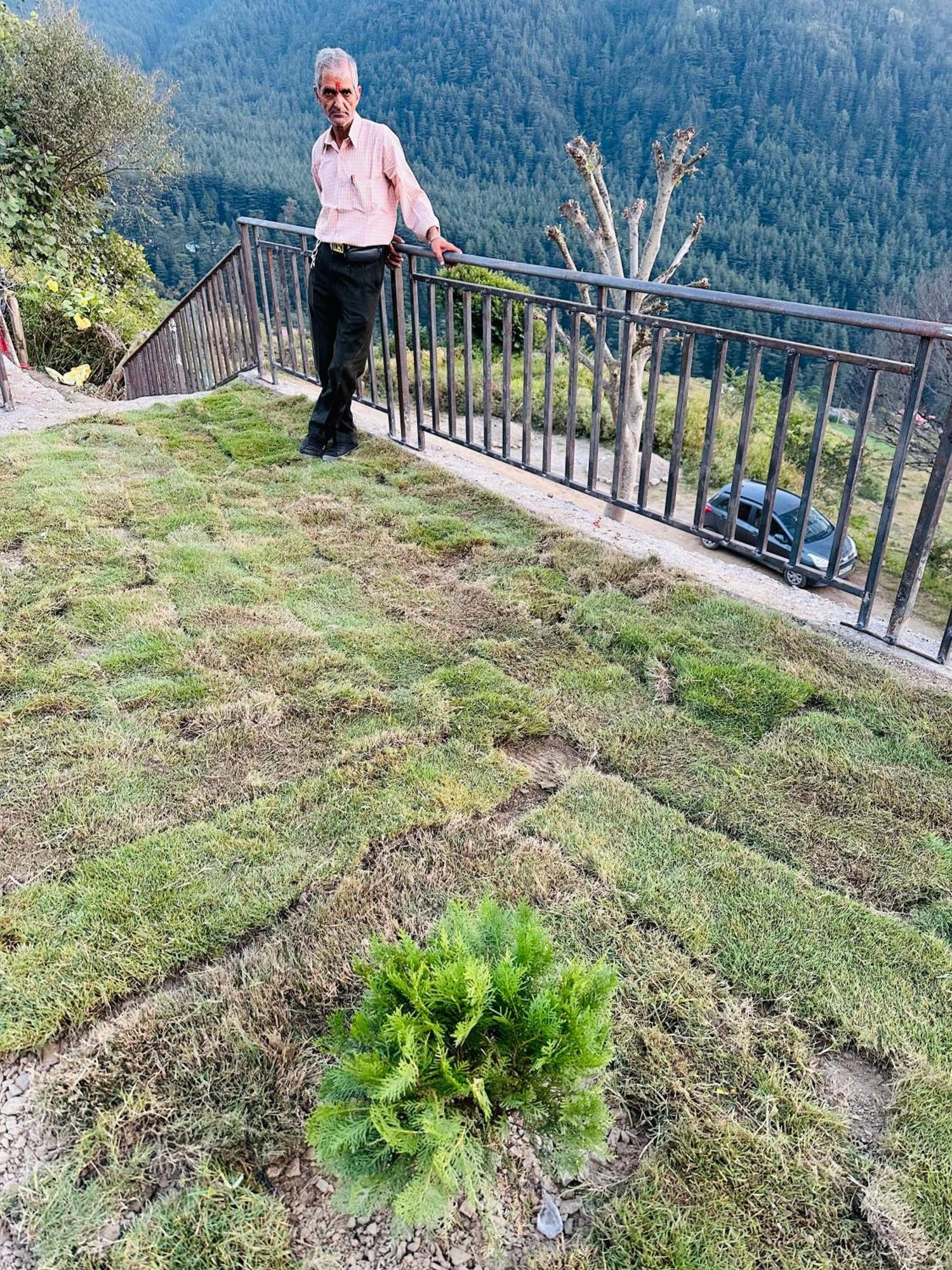 Deodar Village Homestay Devalsari Mussoorie Exteriör bild